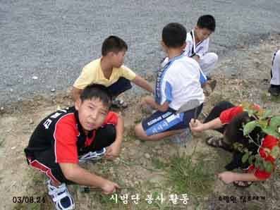 2003�� �ù��� ���� Ȱ��