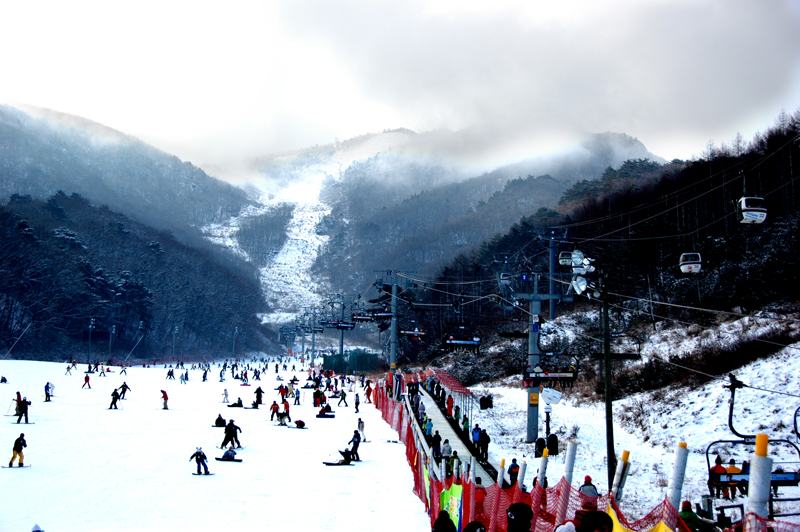 2008�� ��Űķ��(����)