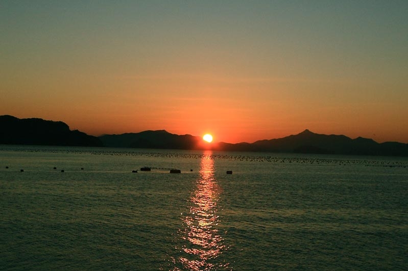 2009��1�� ���ε� �ر�ķ��