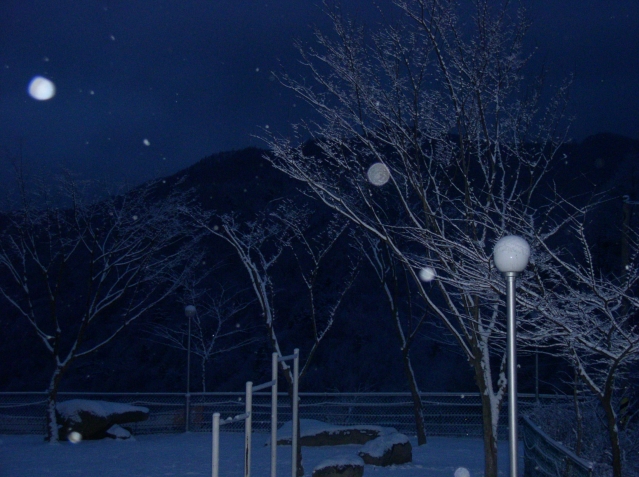 2005�� û�е� ����ķ��(������ ��ħ)