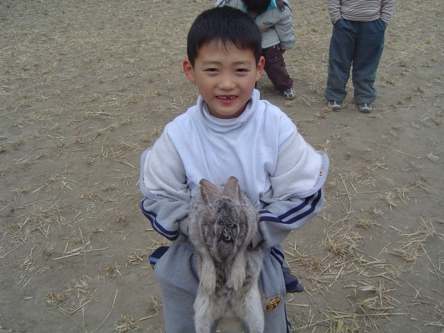 2005�� û�е� ����ķ��(�䳢 ���)