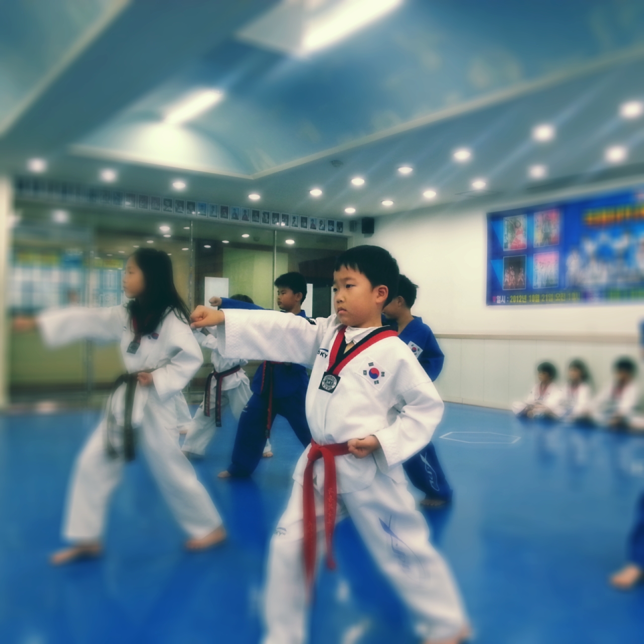 �����ǻ���