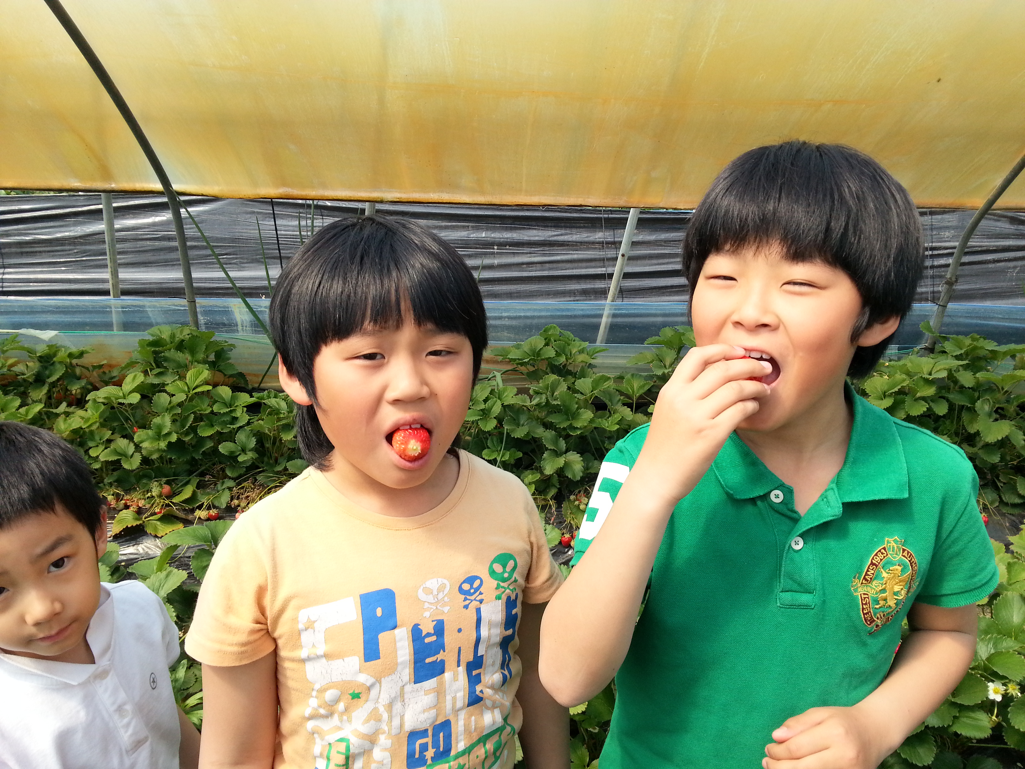 �����ü��