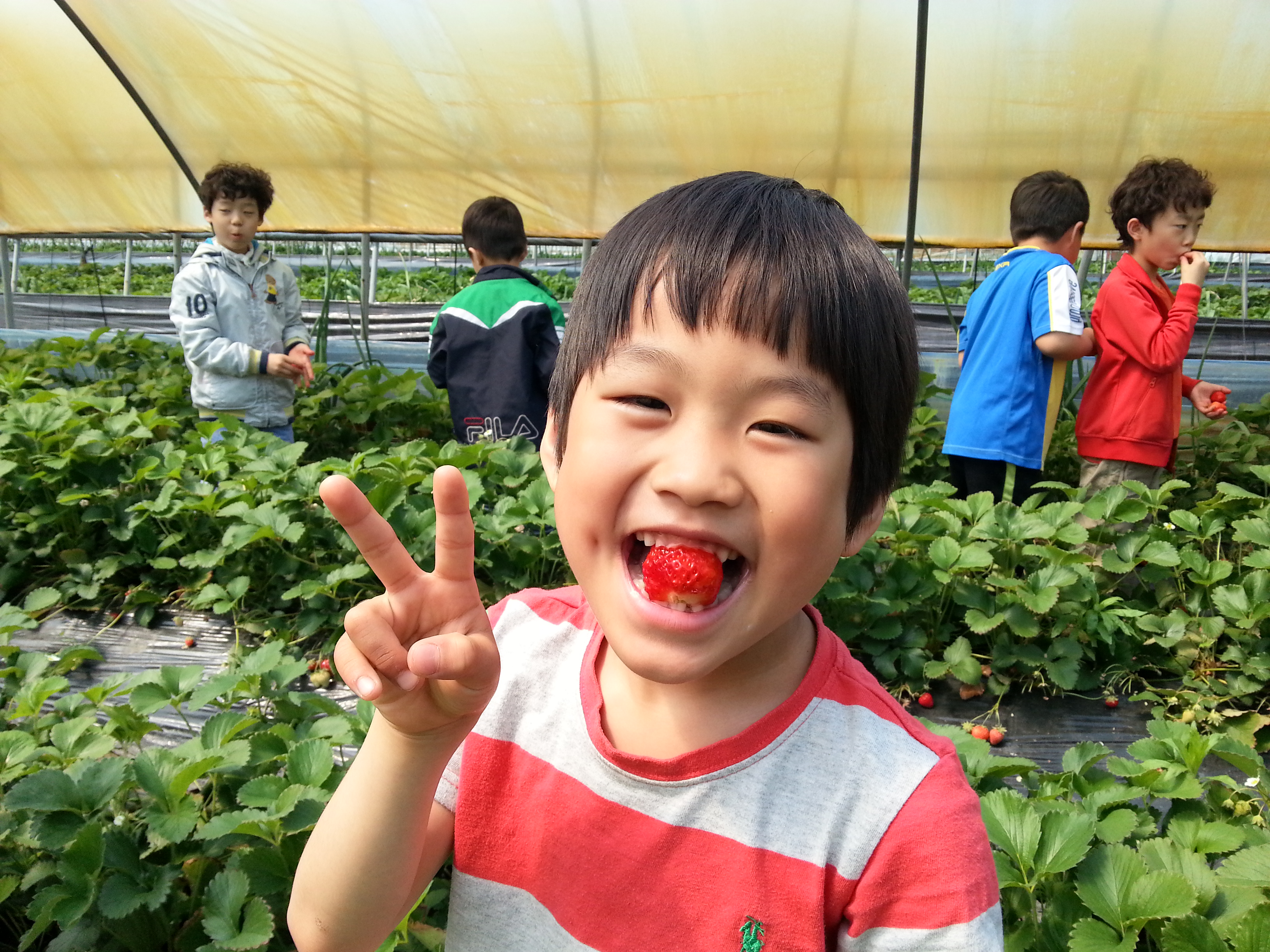 �����ü��2